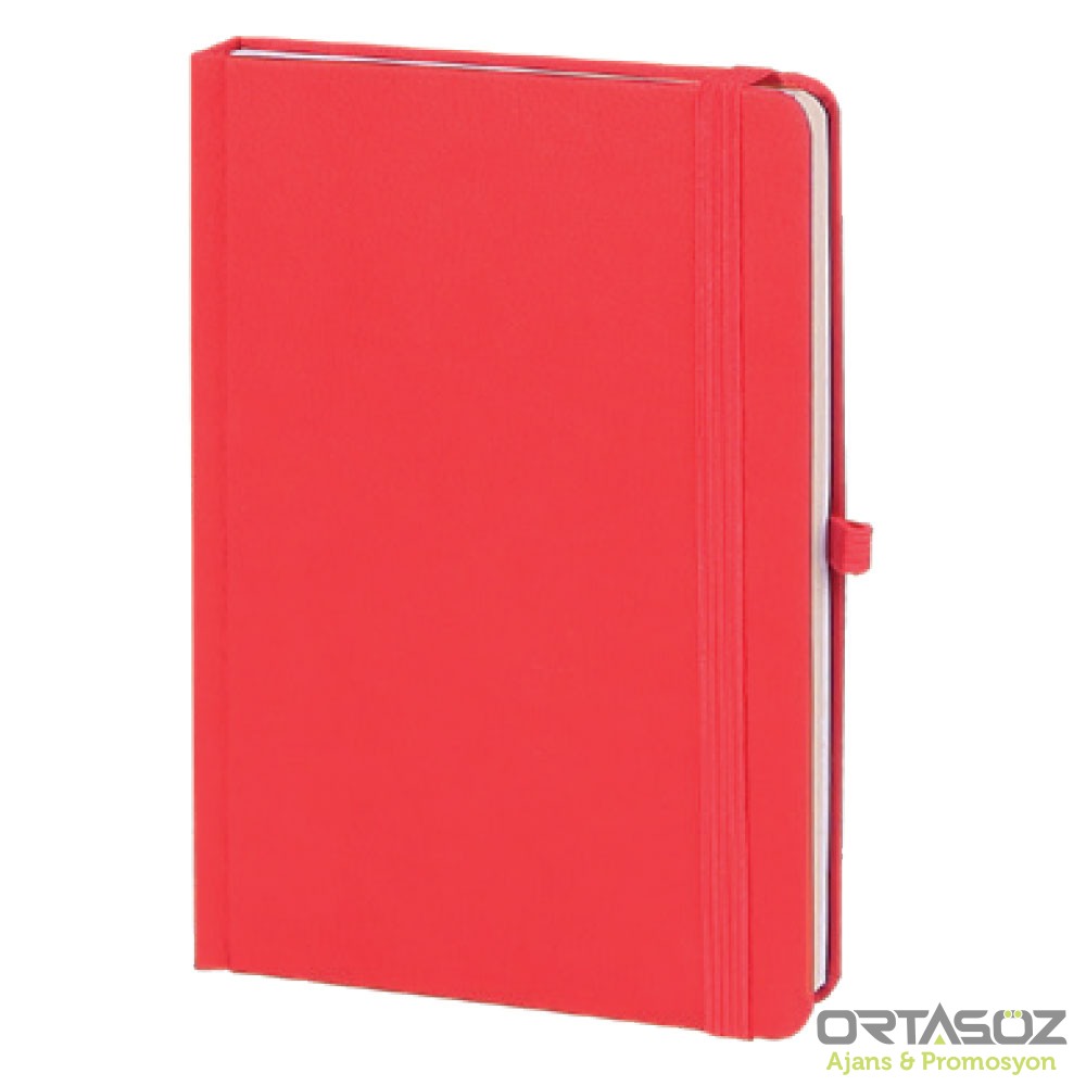 2090 AKDERE TABA TARİHLİ AJANDA (15X21 CM)