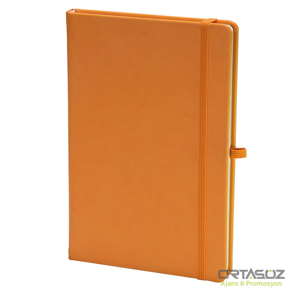 3029 KALECİK SİYAH TARİHSİZ DEFTER (13X21 CM)