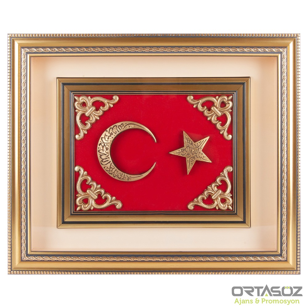 GÖKTÜRK AYYILDIZ KABARTMALI TABLO